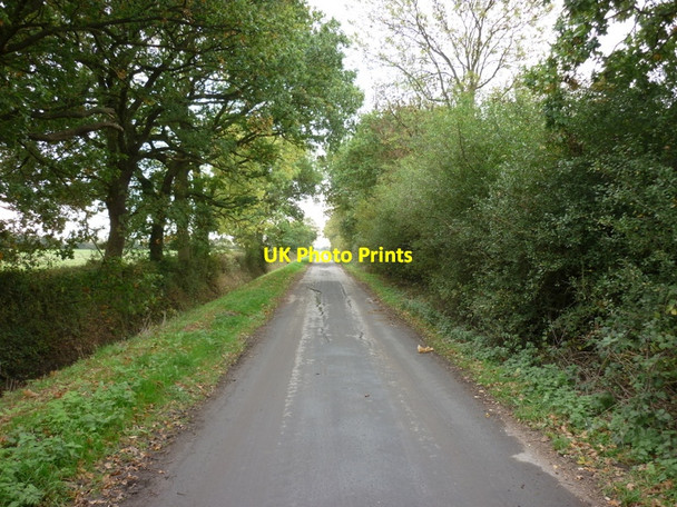 Photo 6"x4" Looking south down New Carr Lane Eastrington c2010