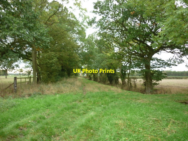 Photo 6"x4" A Bridleway towards Manor Farm Bursea c2010