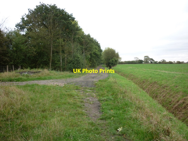 Photo 6"x4" A farm track near Common Wood Hive c2010