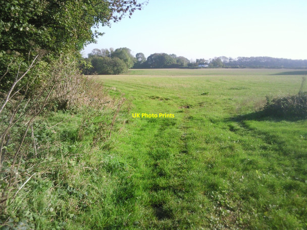 Photo 6"x4" View from the North Downs Way near Partridge Wood Pett Bottom\/TR1143 c2010
