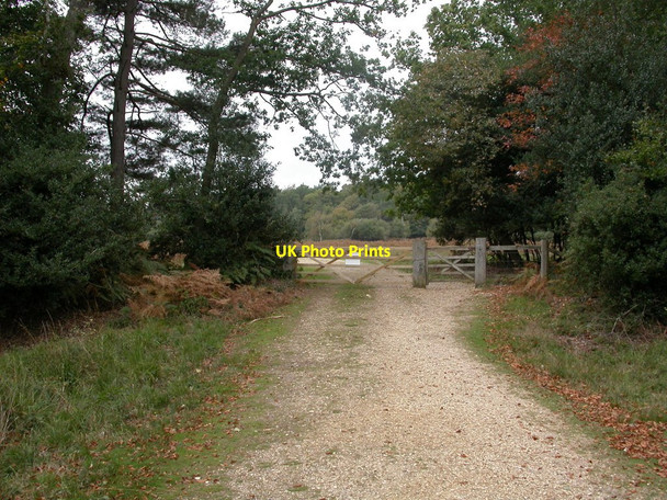 Photo 6"x4" Brownhill Inclosure, gate Ossemsley c2010