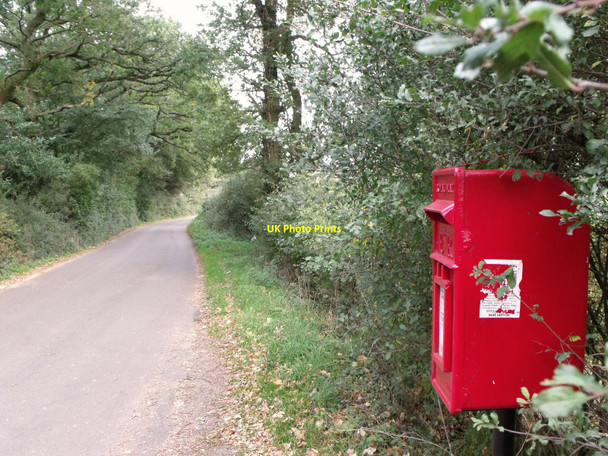 Photo 6"x4" Postbox on Coldthorn Lane, Summer Hill near Hailsham Hailsham c2010
