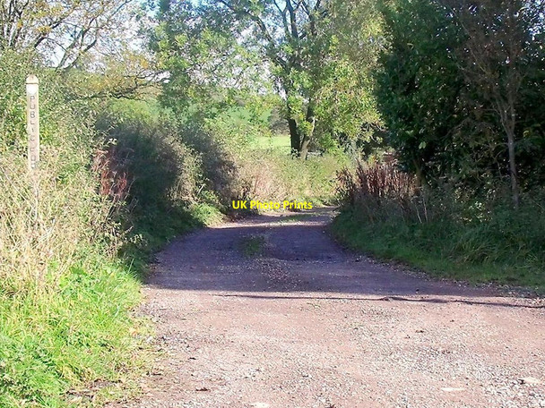 Photo 6"x4" Whitty Lane Meerbrook c2010