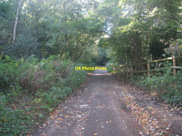 Photo 6"x4" Track on Coopers Hill (2) Egham c2010