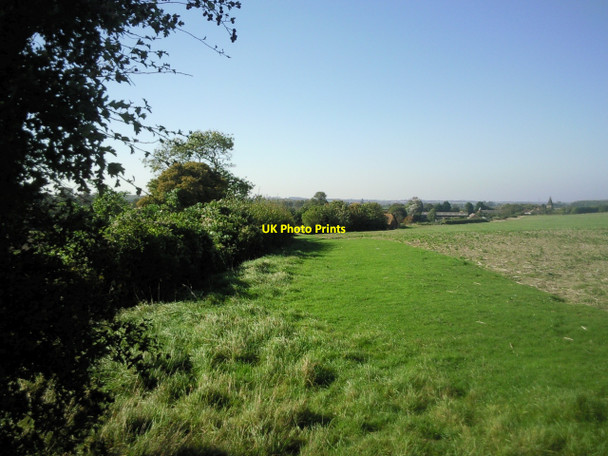 Photo 6"x4" Looking towards Postling Newbarn\/TR1539 c2010