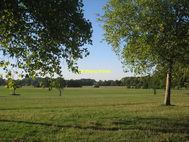 Photo 6"x4" In Windsor Great Park (7) Villag c2010