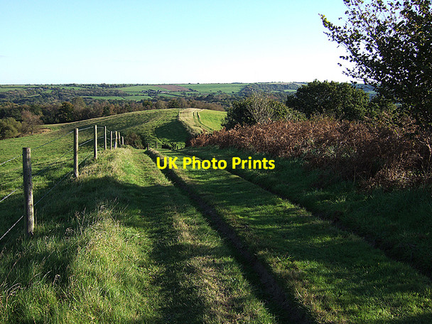 Photo 6"x4" View towards Regent's Coppice Higher Kingcombe c2010