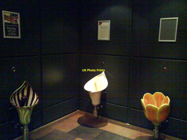 Photo 6"x4" Flower urinals at Barton Grange Garden Centre Brock\/SD5140 c2010