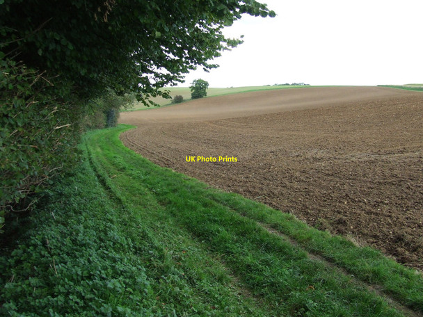 Photo 6"x4" Field Boundary And Footpath Hadleigh\/TM0242 c2010