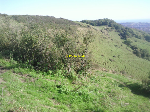 Photo 6"x4" Chalk escarpment on the Folkestone Downs Folkestone c2010