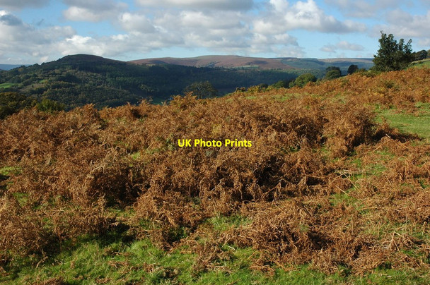 Photo 6"x4" View over the Black Mountains Groes-lwyd\/SO3222 c2010