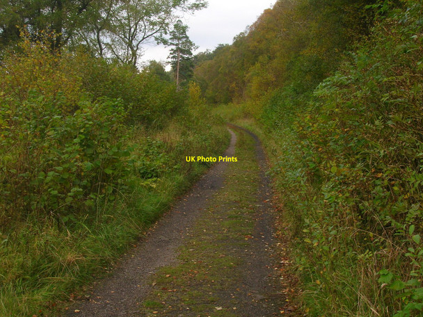 Photo 6"x4" Trackbed of former railway, now nature reserve Smardale c2010