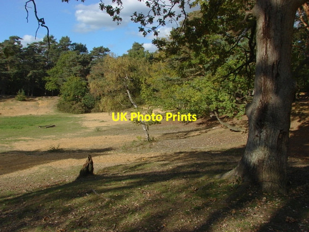 Photo 6"x4" Oxshott Heath Oxshott c2010 P1