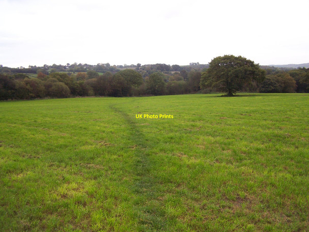 Photo 6"x4" Footpath Near Ipstones Ipstones c2010
