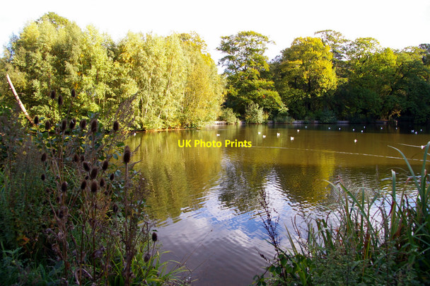 Photo 6"x4" Lake, Kenwood, London NW3 Hampstead\/TQ2685 c2010