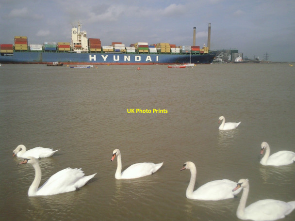 Photo 6"x4" River Thames activity at Gravesend Gravesend\/TQ6574 c2010