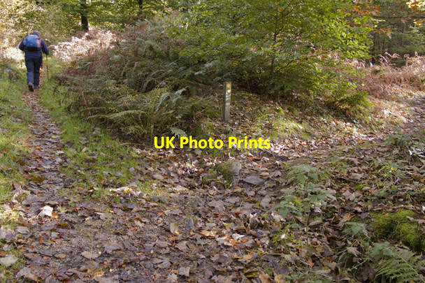 Photo 6"x4" Footpath junction on track to Natty Bridge Broughton Mills c2010