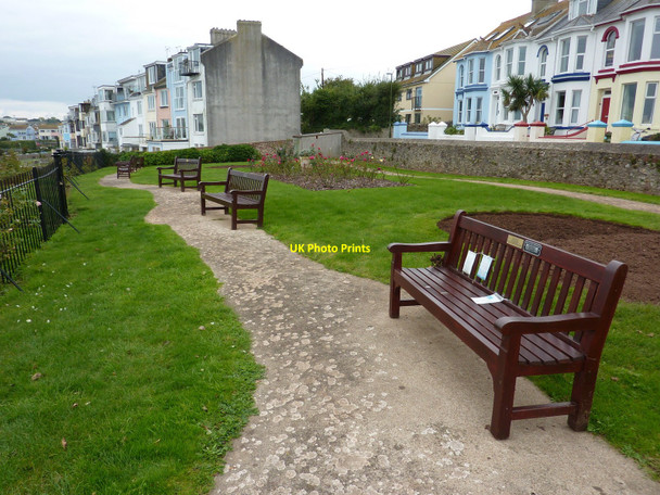 Photo 6"x4" Bonsey Rose Gardens, Furzeham, Brixham Brixham c2010