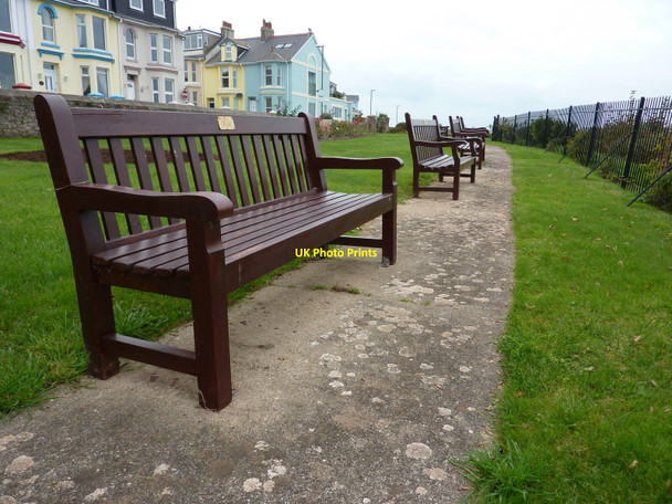 Photo 6"x4" Bonsey Rose Gardens, Furzeham, Brixham Brixham c2010