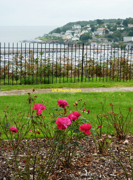 Photo 6"x4" Bonsey Rose Gardens, Furzeham, Brixham Brixham c2010 P1