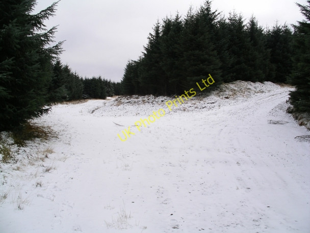 Photo 6"x4" Junction, Forest Road, Glentress Forest Williamslee c2006