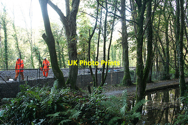 Photo 6"x4" Plymouth: by the Cann Quarry Canal Leigham c2010