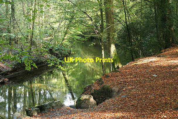 Photo 6"x4" Sparkwell: the river Plym Leigham c2010