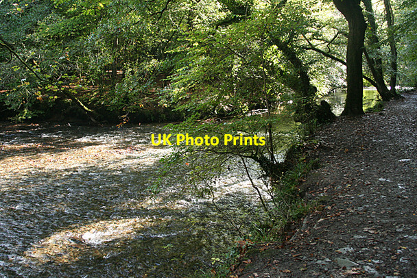 Photo 6"x4" Plymouth: river Plym Leigham c2010