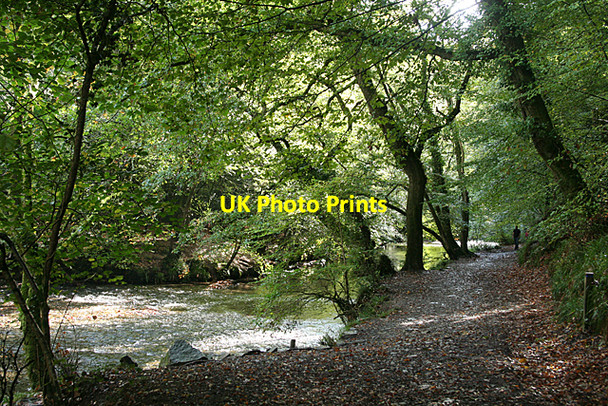 Photo 6"x4" Plymouth: Bickleigh Vale Leigham c2010