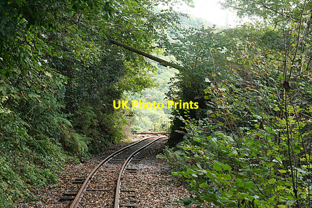Photo 6"x4" Gulworthy: mine railway Morwellham Quay c2010