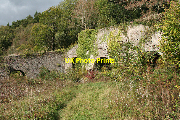 Photo 6"x4" Gulworthy: Newquay limekilns Morwellham Quay c2010