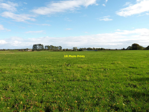 Photo 6"x4" Towards the airfield Edzell c2010