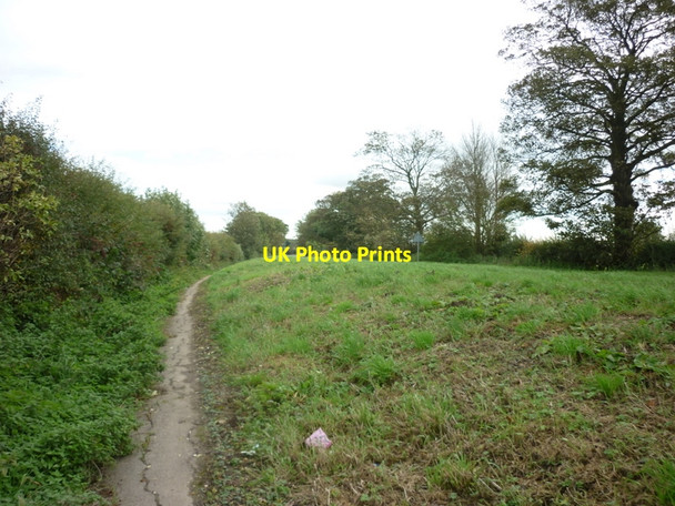 Photo 6"x4" Footpath alongside the A1079 towards Beverley Bishop Burton c2010