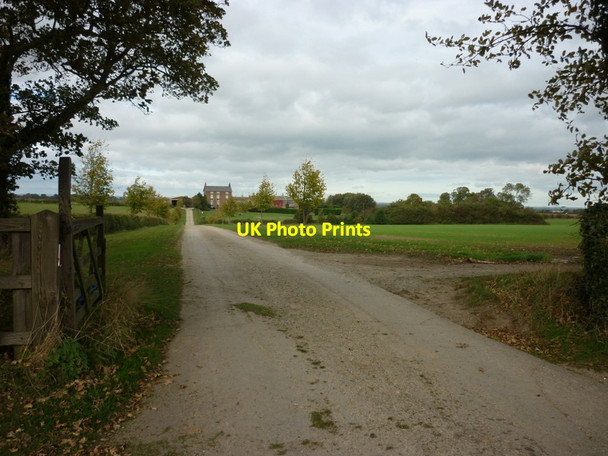 Photo 6"x4" The way to Mount Pleasant Farm Bishop Burton c2010
