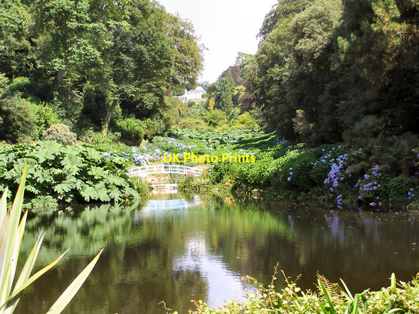 Photo 6"x4" Trebah Garden Durgan c2006 P1