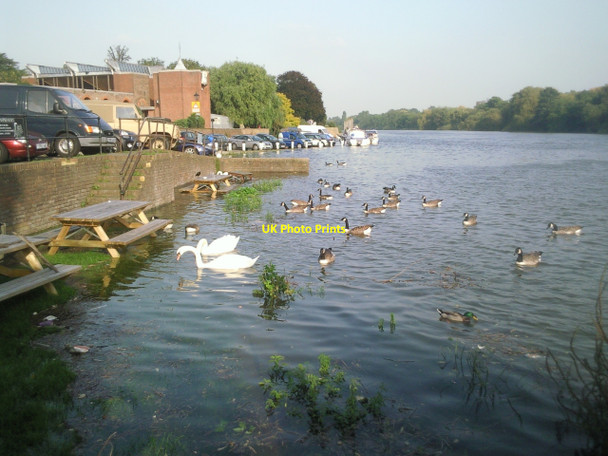 Photo 6"x4" Tide tables at The London Apprentice Isleworth c2010