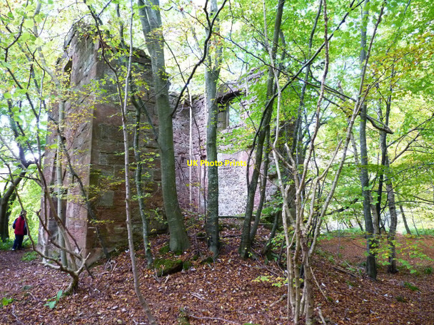 Photo 6"x4" Gannochy tower Edzell c2010