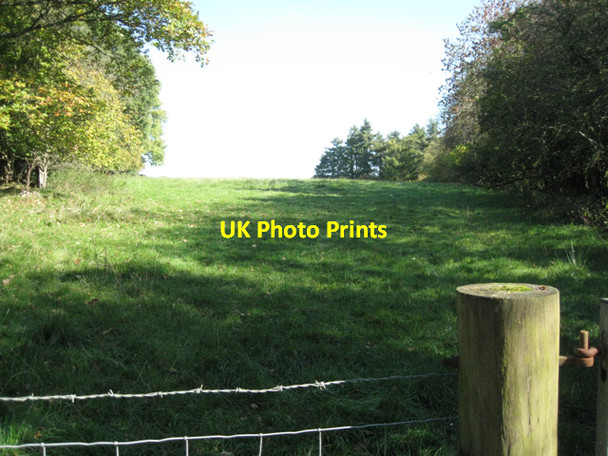 Photo 6"x4" Field north of railway cutting, Penybont Penybont\/SO1164 c2010