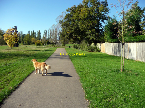 Photo 6"x4" Oakwood Park, London N14 Southgate\/TQ3094 c2010 P1