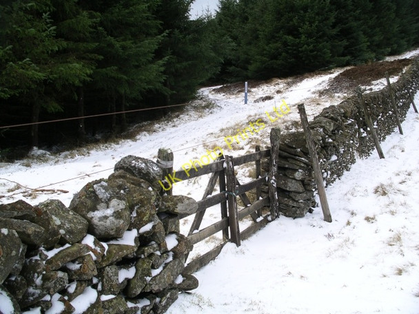 Photo 6"x4" Tracks and wall, Glentress Forest Williamslee c2006