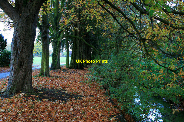 Photo 6"x4" Beside Golden Brook Long Eaton c2010