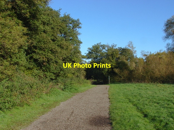 Photo 6"x4" Epsom Common Epsom c2010