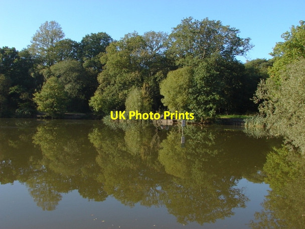 Photo 6"x4" Epsom Common Epsom c2010