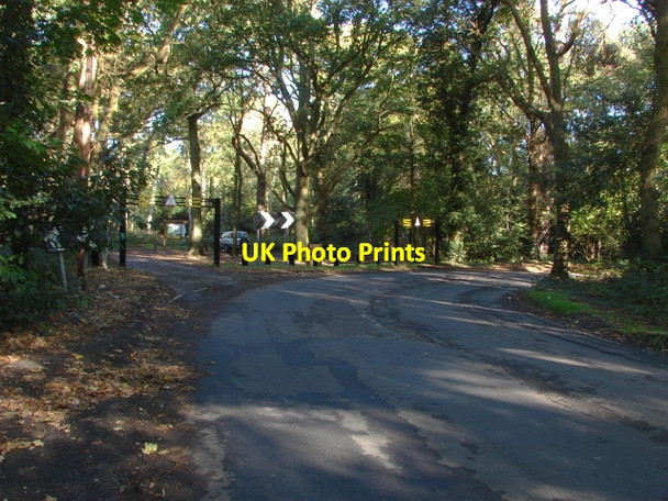 Photo 6"x4" Sandy Lane, Fairmile Fairmile\/TQ1261 c2010