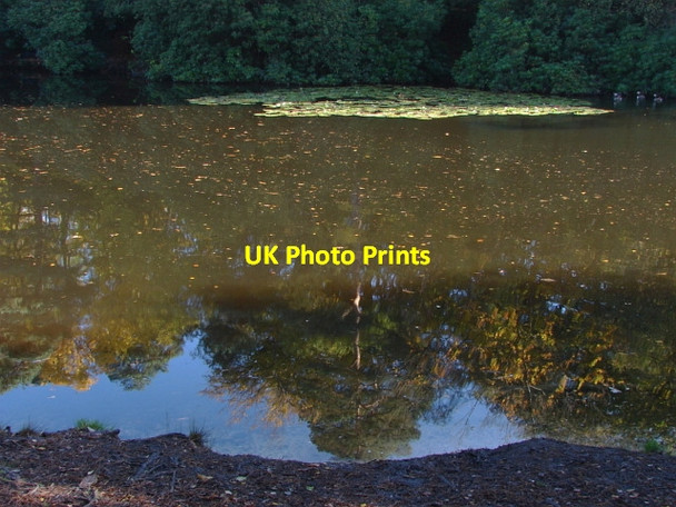 Photo 6"x4" Middle Pond, Fairmile Common Fairmile\/TQ1261 c2010