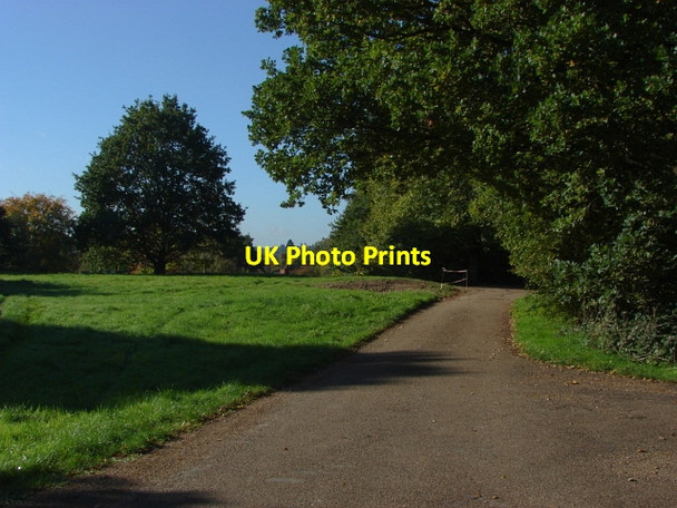 Photo 6"x4" Leigh Hill, Cobham Cobham\/TQ1160 c2010