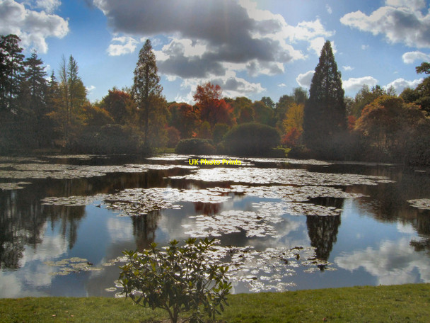 Photo 6"x4" Middle Lake, Sheffield Park Fletching c2010
