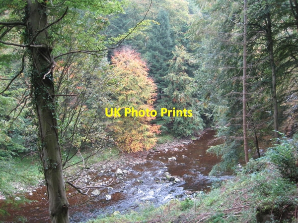 Photo 6"x4" River Allen, Allen Banks Ridley\/NY7963 c2010
