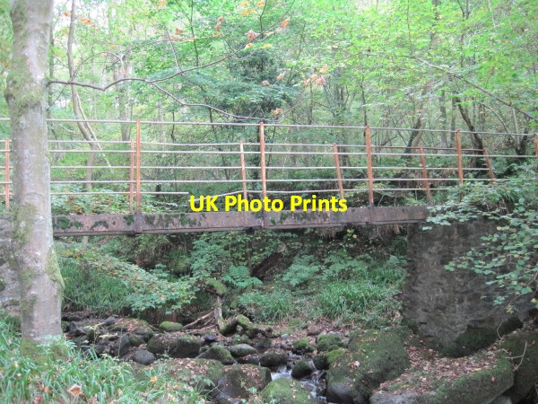Photo 6"x4" Footbridge over Farnalees Burn Ridley\/NY7963 c2010