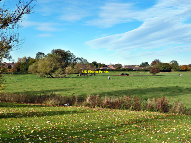 Photo 6"x4" Field Near Haughton le Skerne Great Burdon c2010